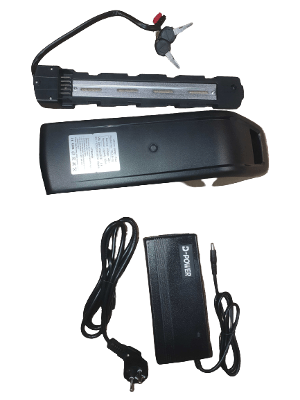 Batterie 48V 20Ah WeeBike avec Chargeur