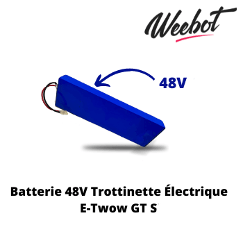 Batterie Trottinette Électrique 48V GTS SPORT - E-TWOW (Batterie Uniquement)