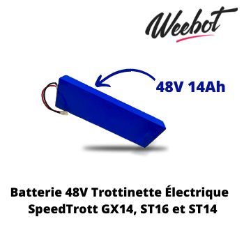 Batterie Trottinette Électrique 48V ST14, ST16 et GX14 - SpeedTrott (Batterie Uniquement)