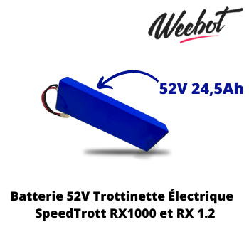 Batterie Trottinette Électrique 52V RX 1000 et RX1.2 - SpeedTrott (Batterie Uniquement)