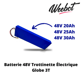 Batterie Trottinette Electrique 48V Globe 3T (Batterie Uniquement)