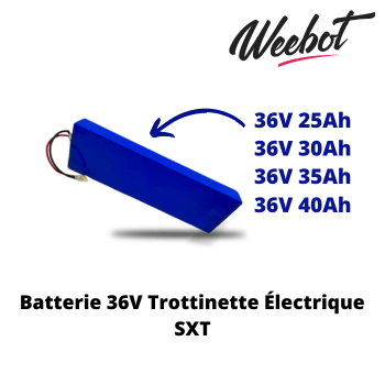 Batterie 36V Trottinette Électrique SXT (Batterie Uniquement)