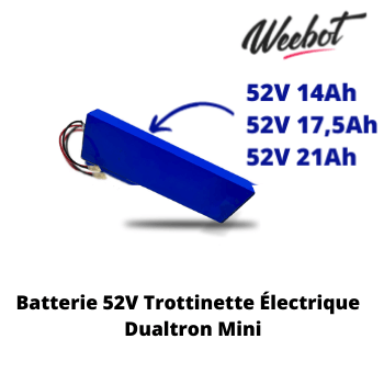 Batterie Trottinette Électrique 52V Dualtron Mini - Minimotors (Batterie Uniquement)