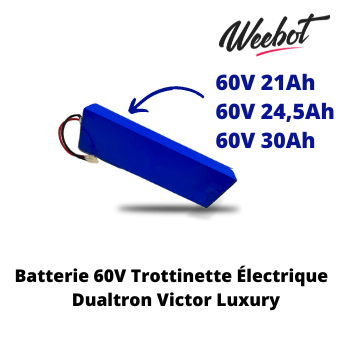 Batterie Trottinette Électrique 60V Dualtron Victor Luxury - Minimotors (Batterie Uniquement)