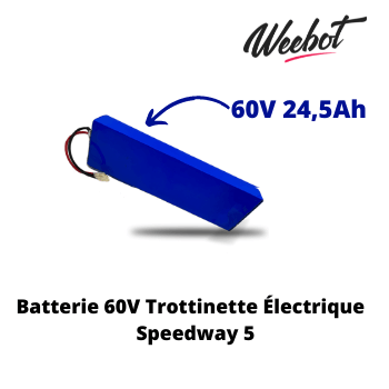 Batterie Trottinette Électrique 60V Speedway 5 - Minimotors (Batterie Uniquement)