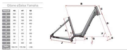 Vélo électrique Gitane - E-Salsa D8