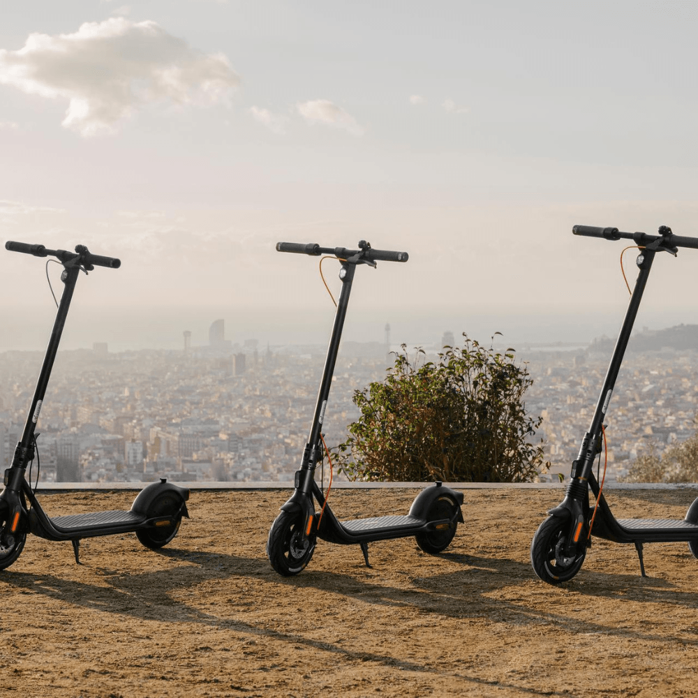 Trottinette Électrique F2 Plus Ninebot by Segway : Légère et Performante